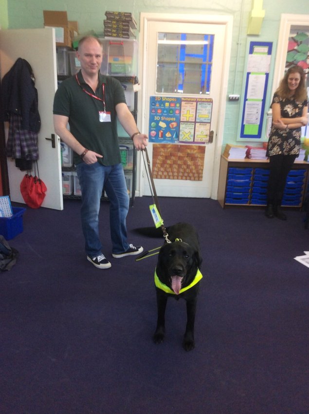 Image of Guide Dog