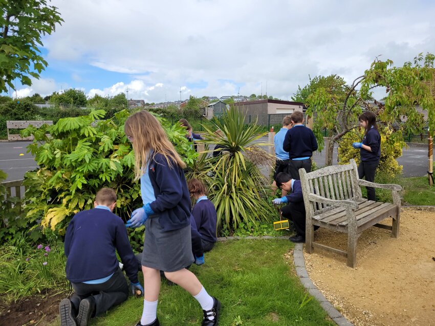 Image of Gardening with year 6