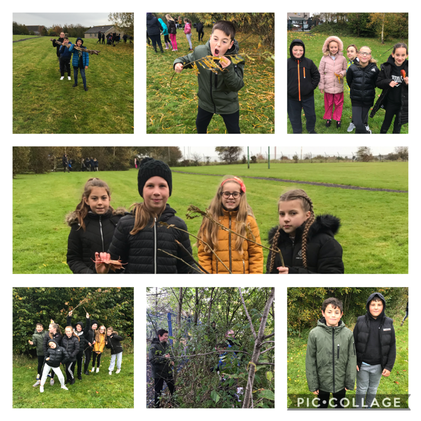 Image of Year 6 Forest Schools 2020